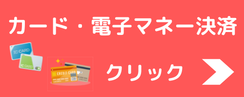 BOBソリューションのクレジットカード電子マネー決済について